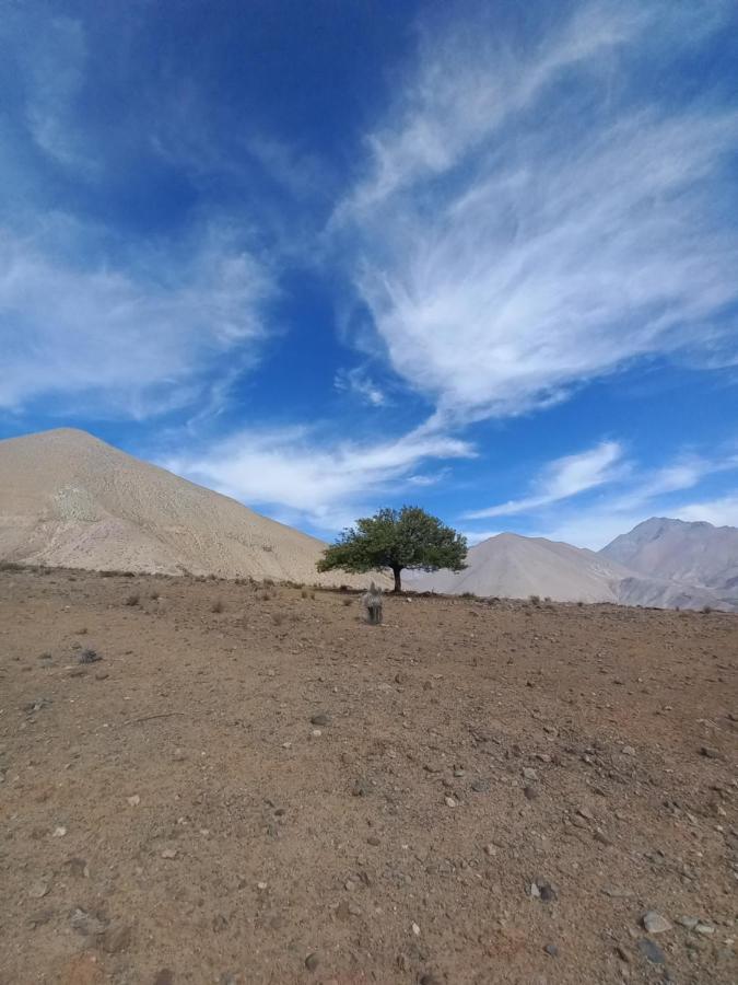 Campo De Cielo Mamalluca Valle De Elqui Vicuña Extérieur photo